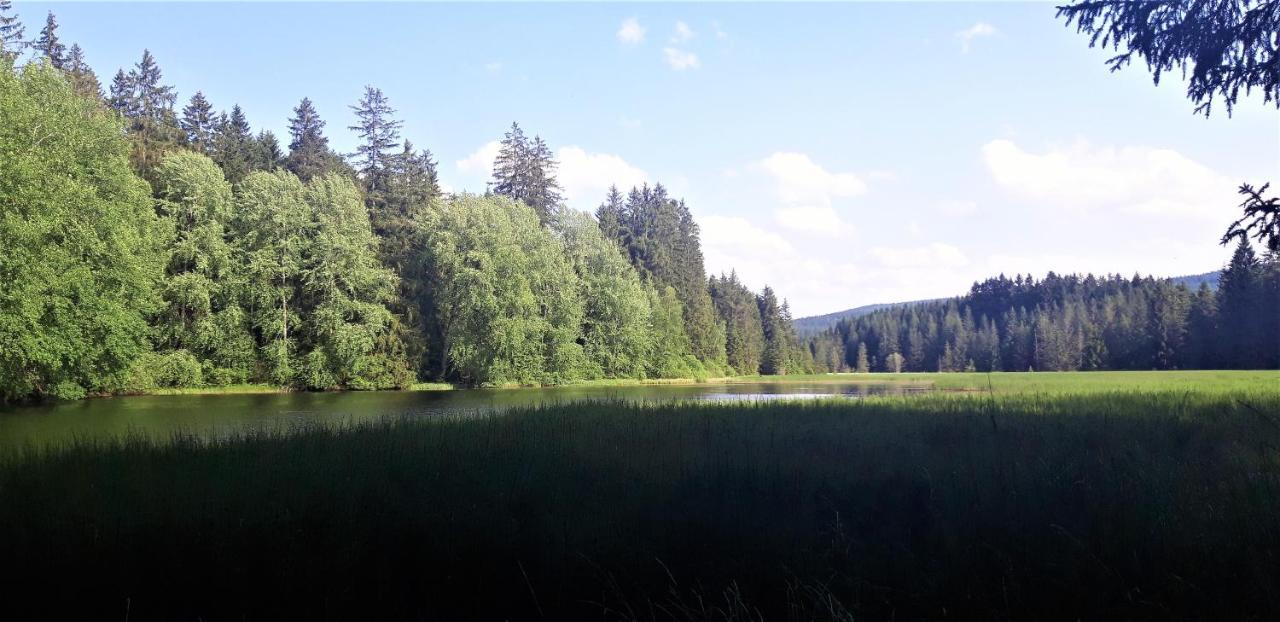 #Apt23 - Apartman 23 - Novohradske Hory Benesov nad Cernou Экстерьер фото